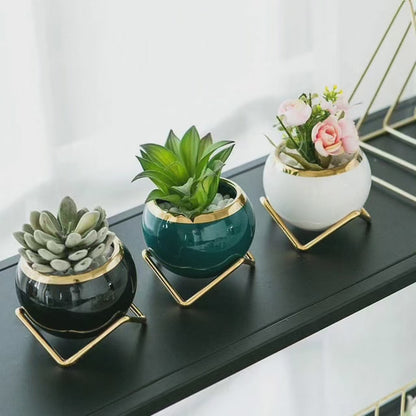 Simple Creative Succulent Planter Flower pot with Gold Metal Frame