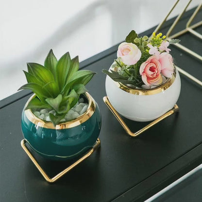 Simple Creative Succulent Planter Flower pot with Gold Metal Frame