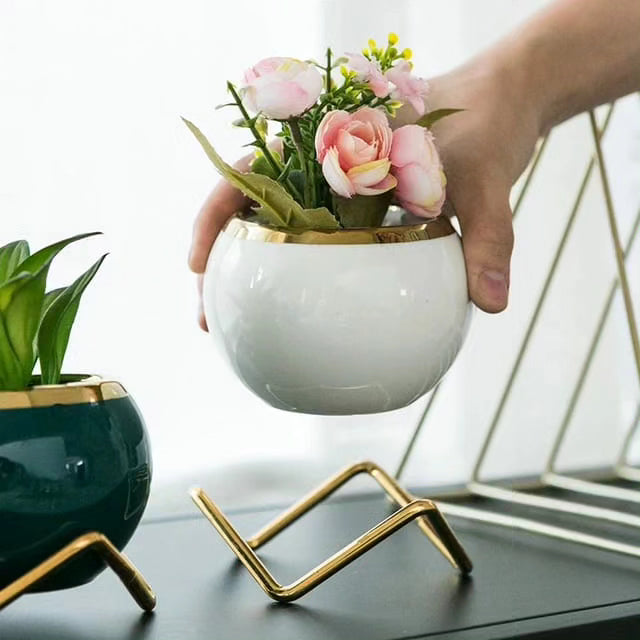 Simple Creative Succulent Planter Flower pot with Gold Metal Frame