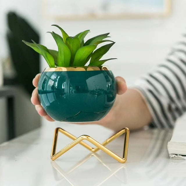 Simple Creative Succulent Planter Flower pot with Gold Metal Frame