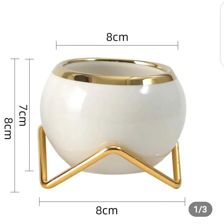 Simple Creative Succulent Planter Flower pot with Gold Metal Frame