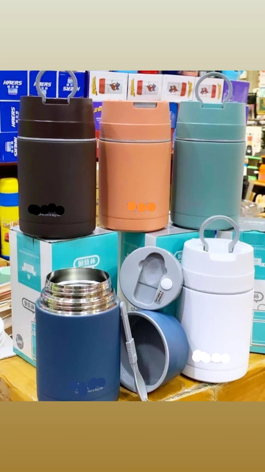 Partitioned Food Flask