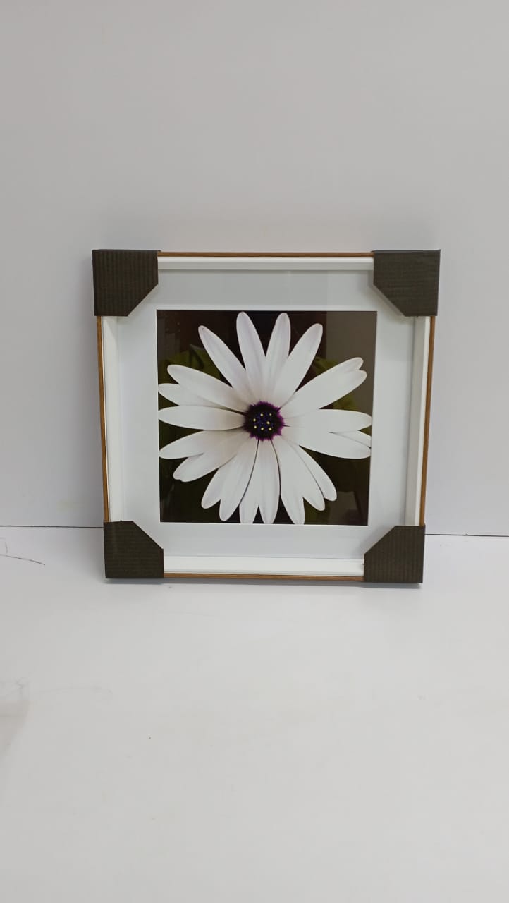 Wall hanging decor frame