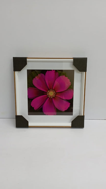 Wall hanging decor frame