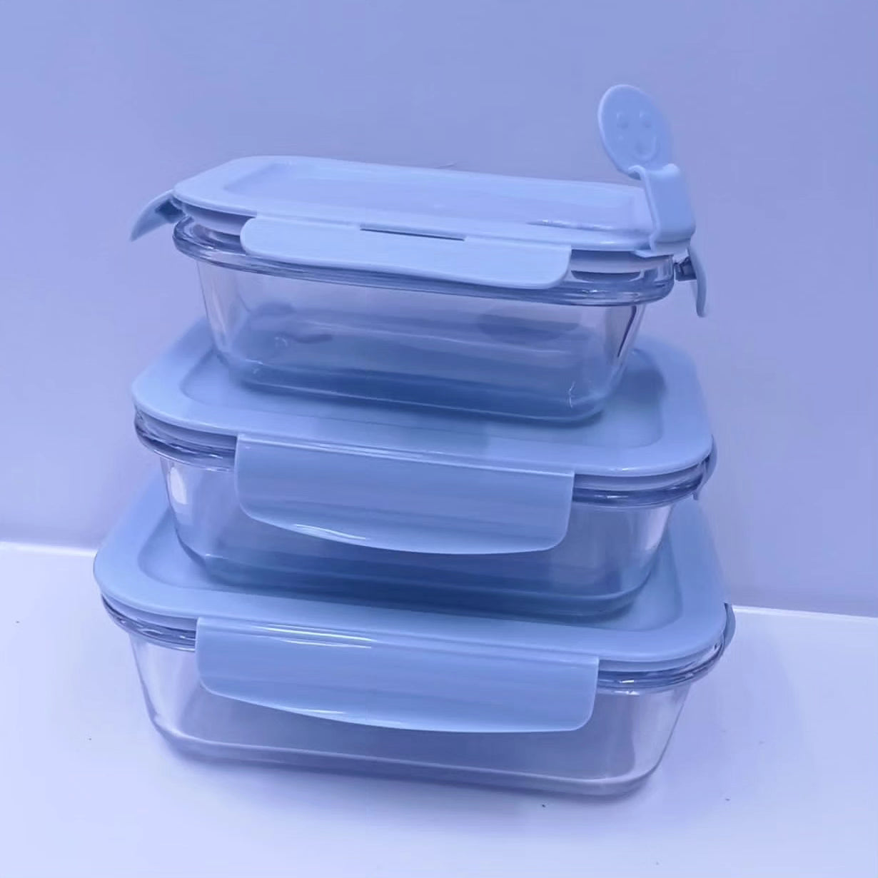 3pc Glass Food pack