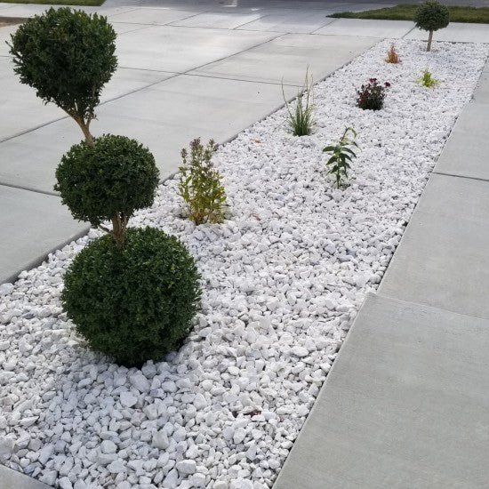 White decorative pebble stones