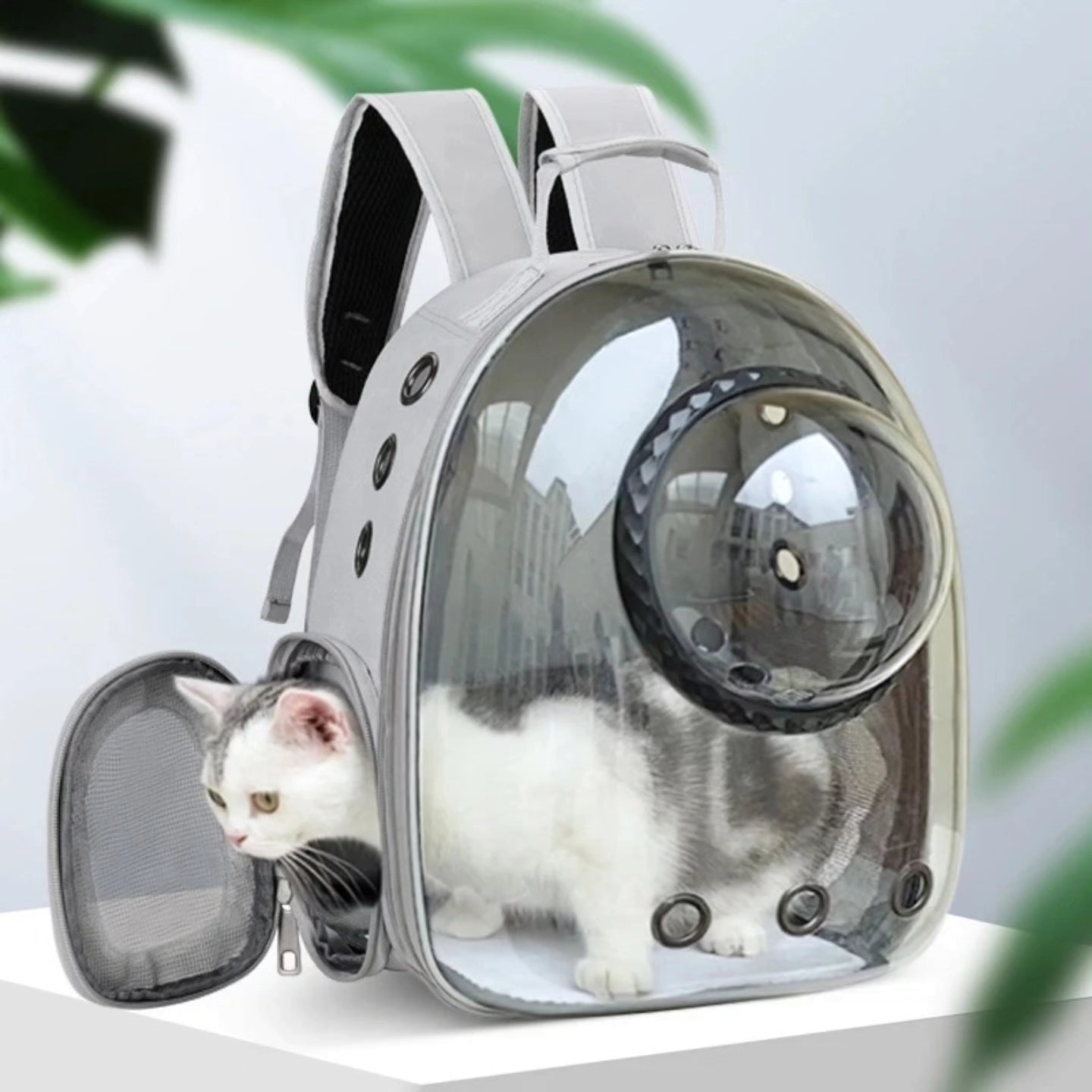 Clear bubble window pet carrier backpack