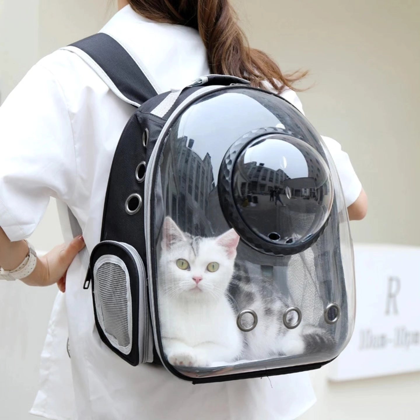 Astro Bubble Pet Carrier Bag Backpack
