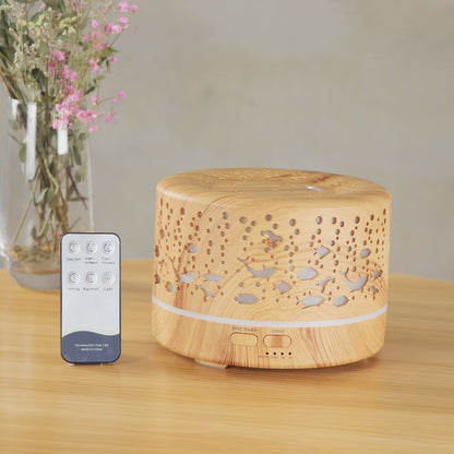 Ultrasonic Aroma Diffuser Humidifier with Remoter