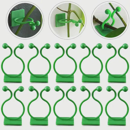 10pcs Invisible Plant  Wall  Clips