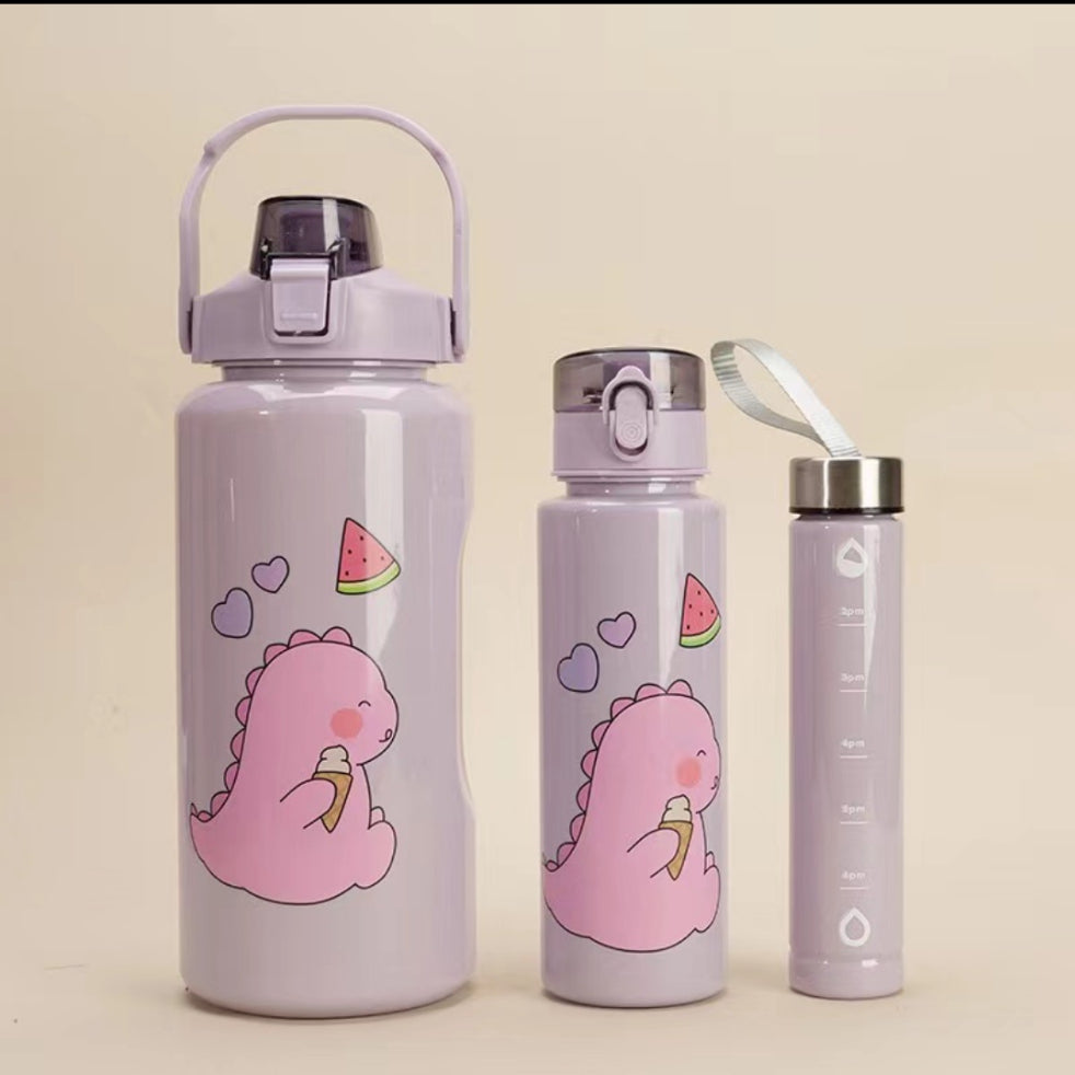 3 in 1 motivational water bottle set