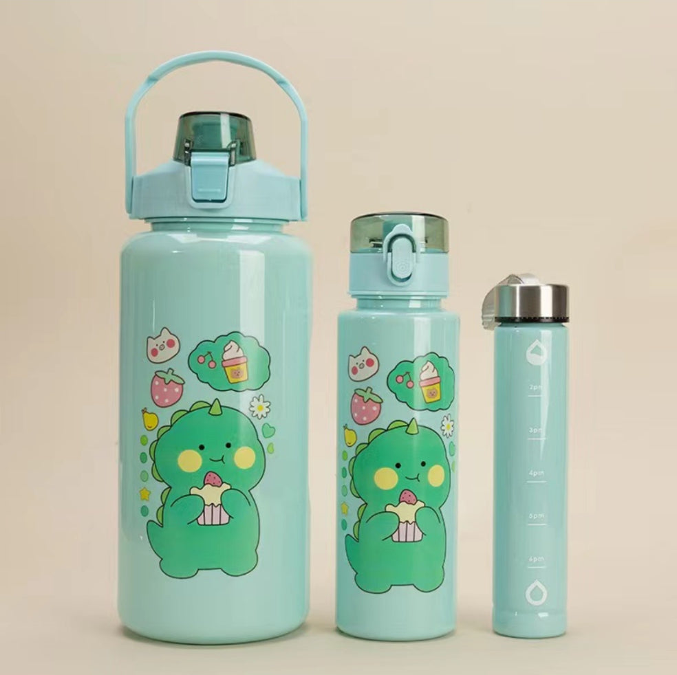 3 in 1 motivational water bottle set