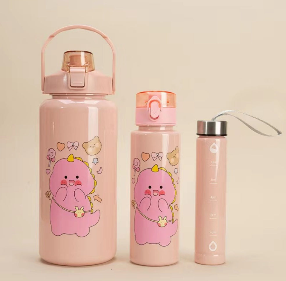 3 in 1 motivational water bottle set