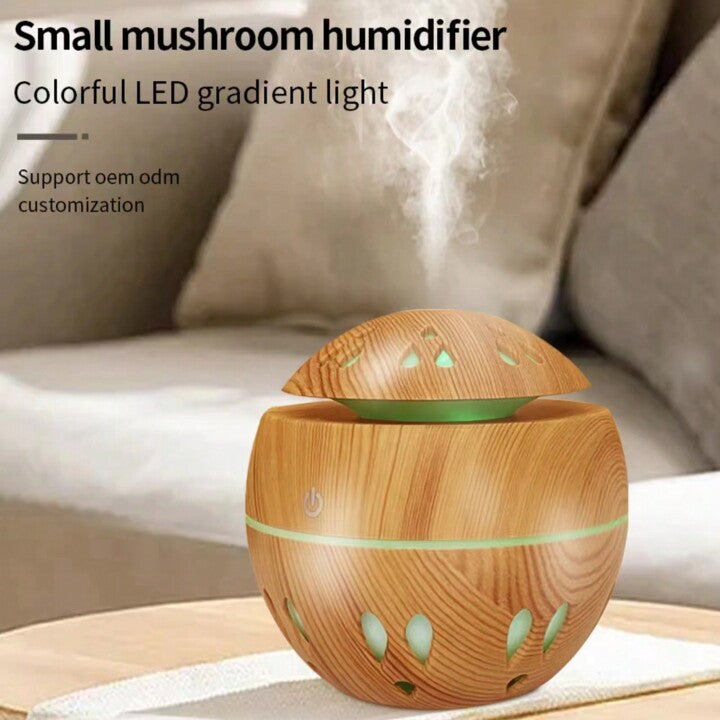 Small 200ml humidifier