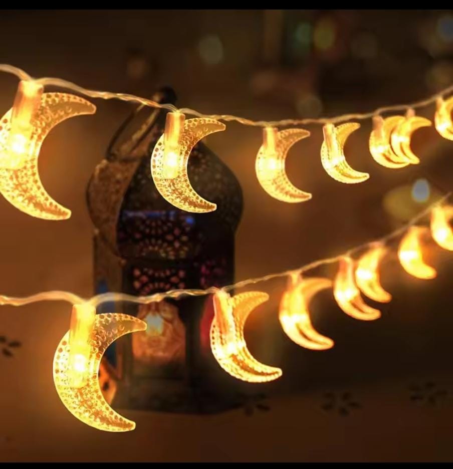 Christmas fairy lights