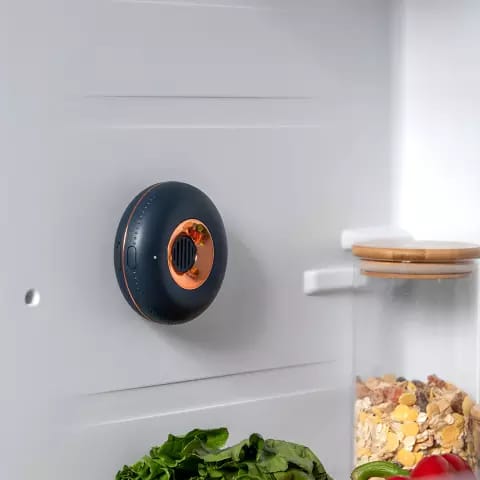 Fridge Deodorizer
