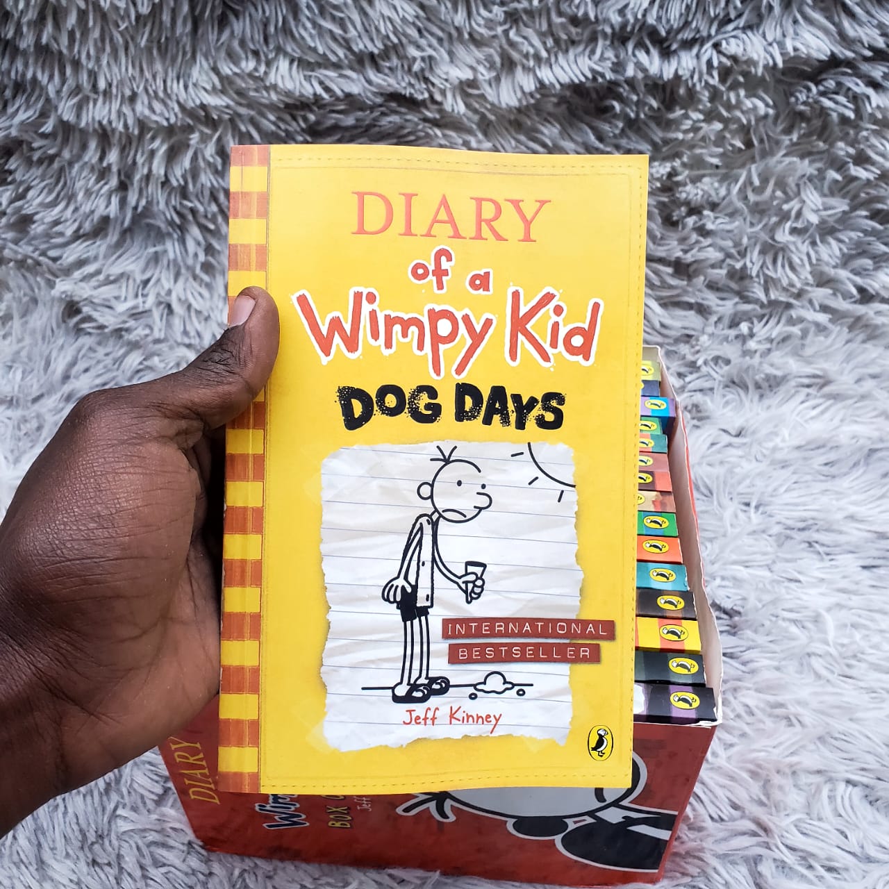 Diary of a wimpy kid