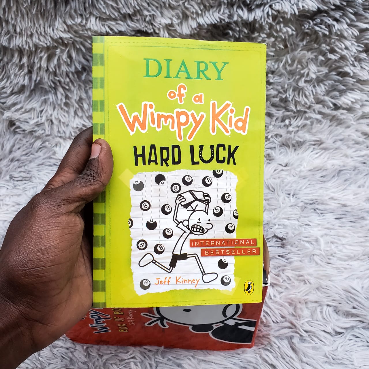 Diary of a wimpy kid