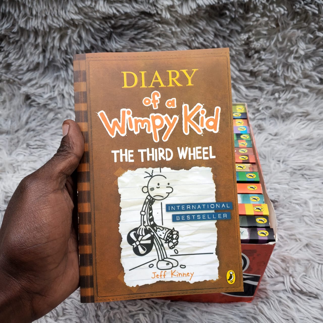 Diary of a wimpy kid