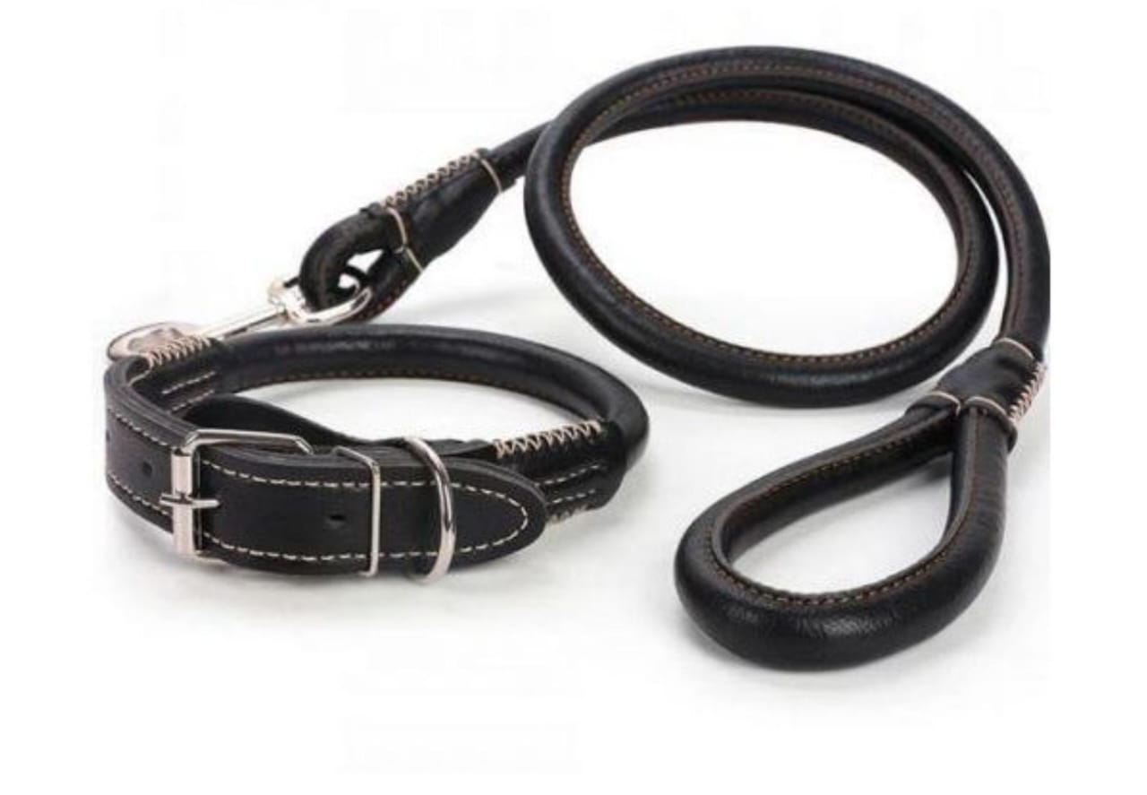 Leather dog collar and leash