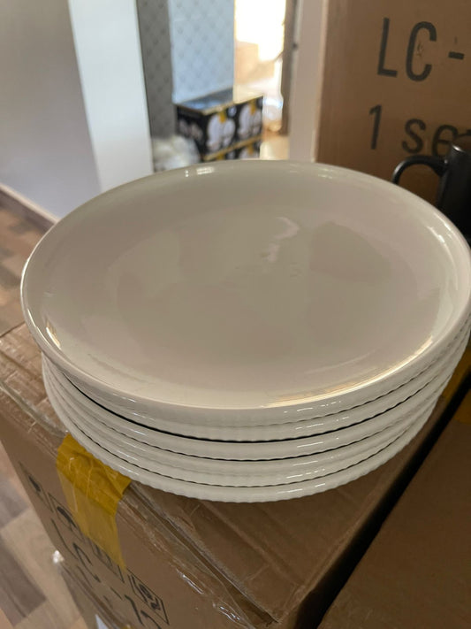 6Pc Dinner plates
