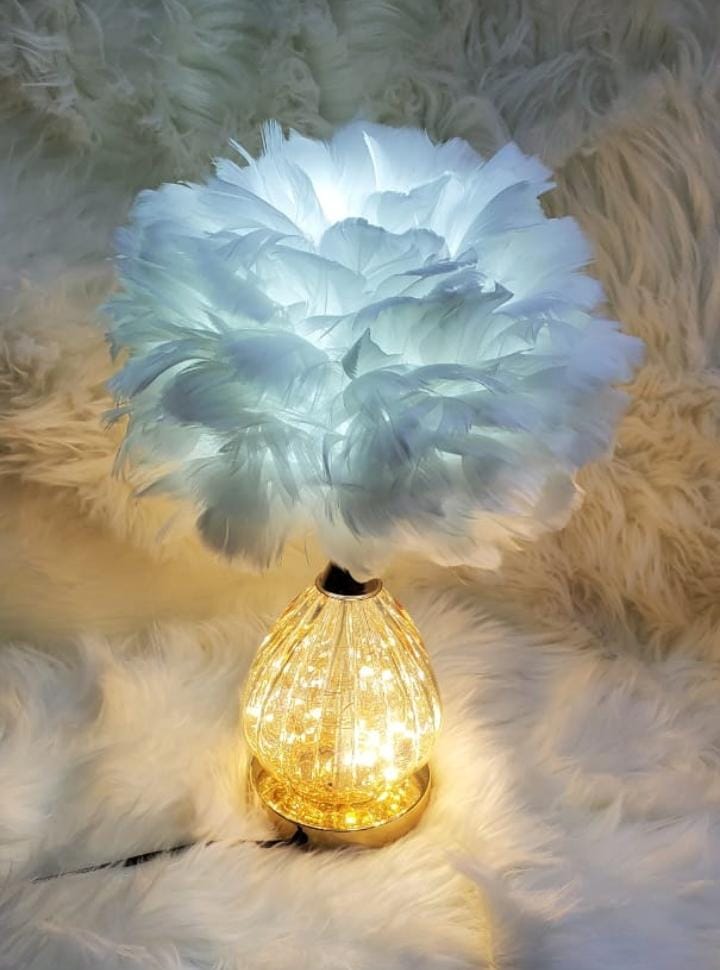 Crystal feather lamp table