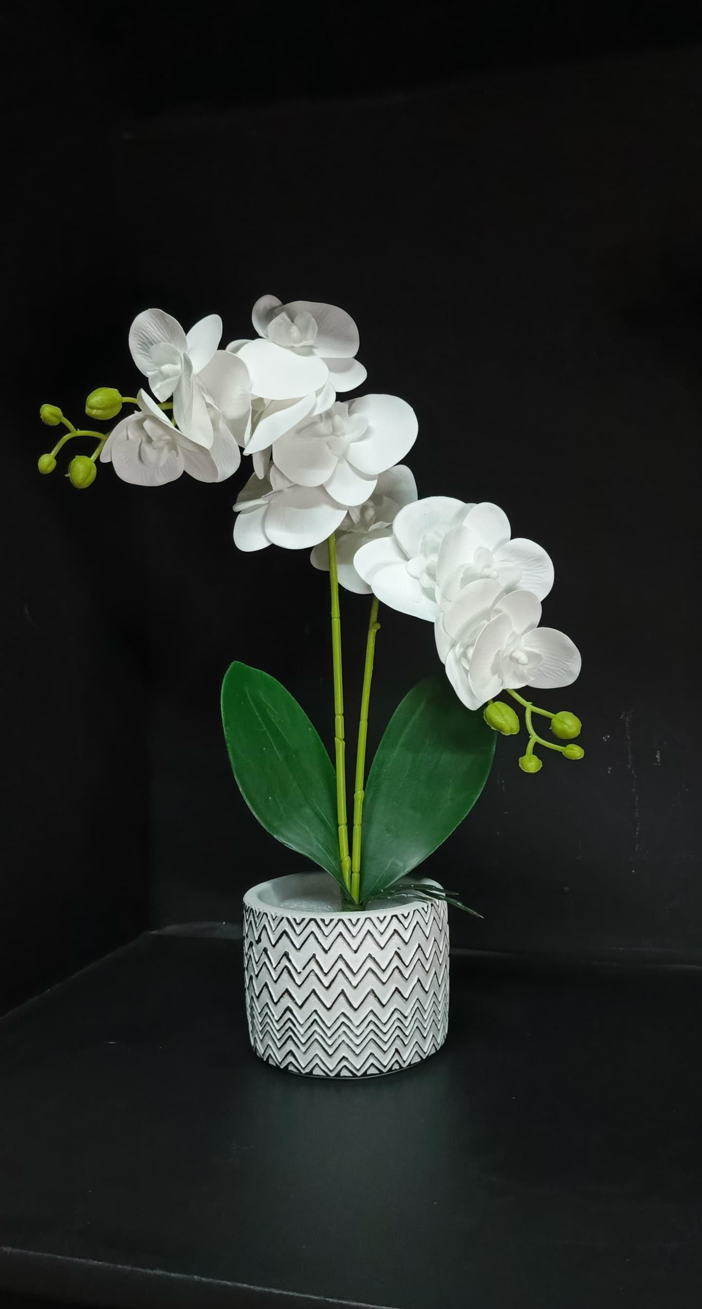 Ceramic Vase with Orchid Flowers