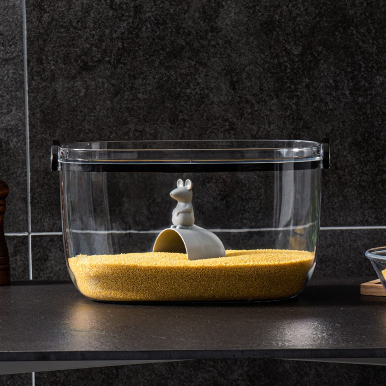 Airtight Storage Container