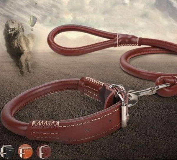 Rolled Leather Dog Collar and Leash Set