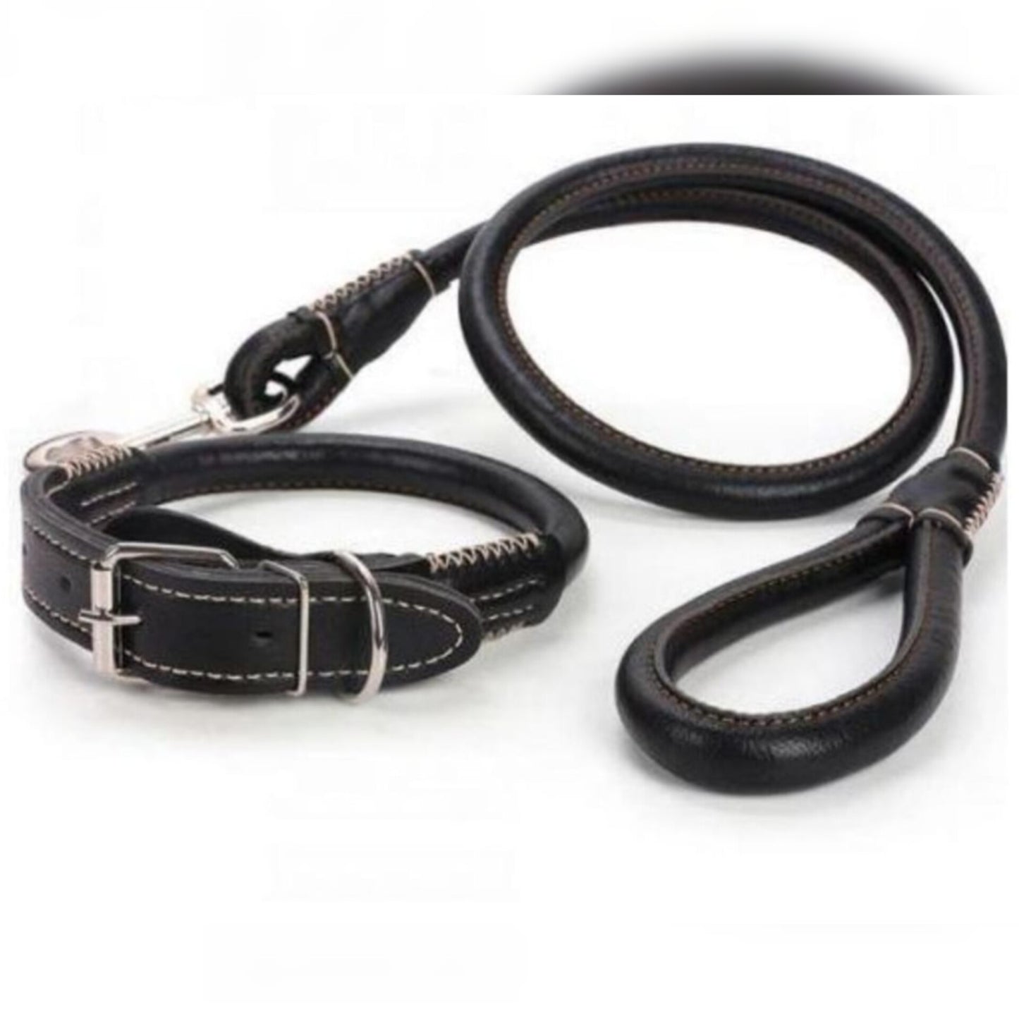 Dog collar and leash dog harness