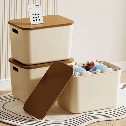 Rectangle PP Plastic Storage Boxes with Lids