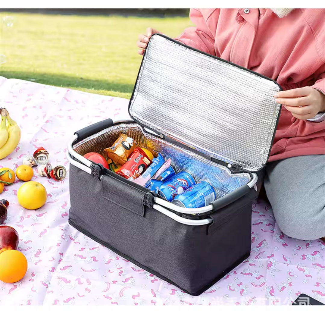 Insulated picnic basket