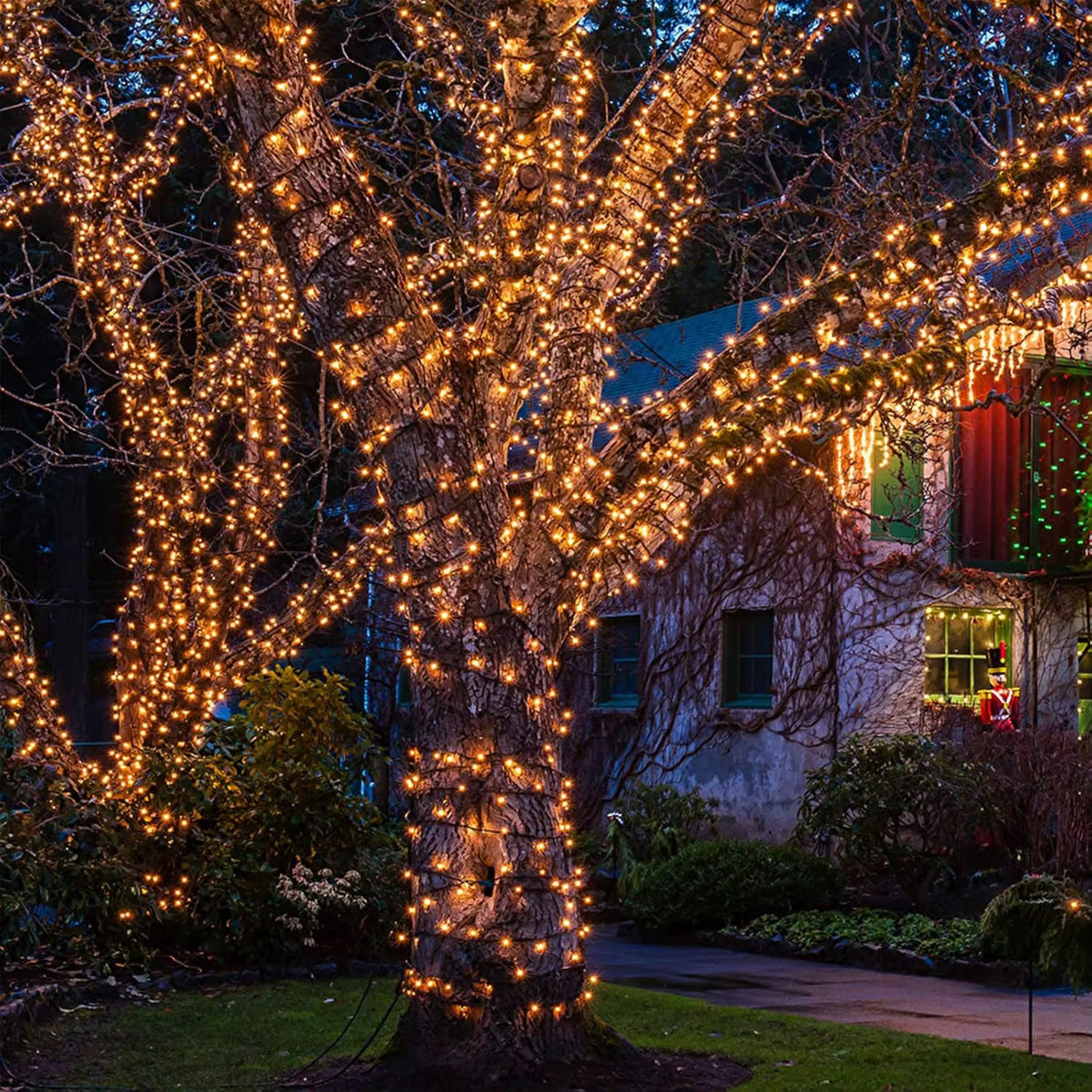 32M 300 LED Solar Fairy String Light Set in Nairobi 