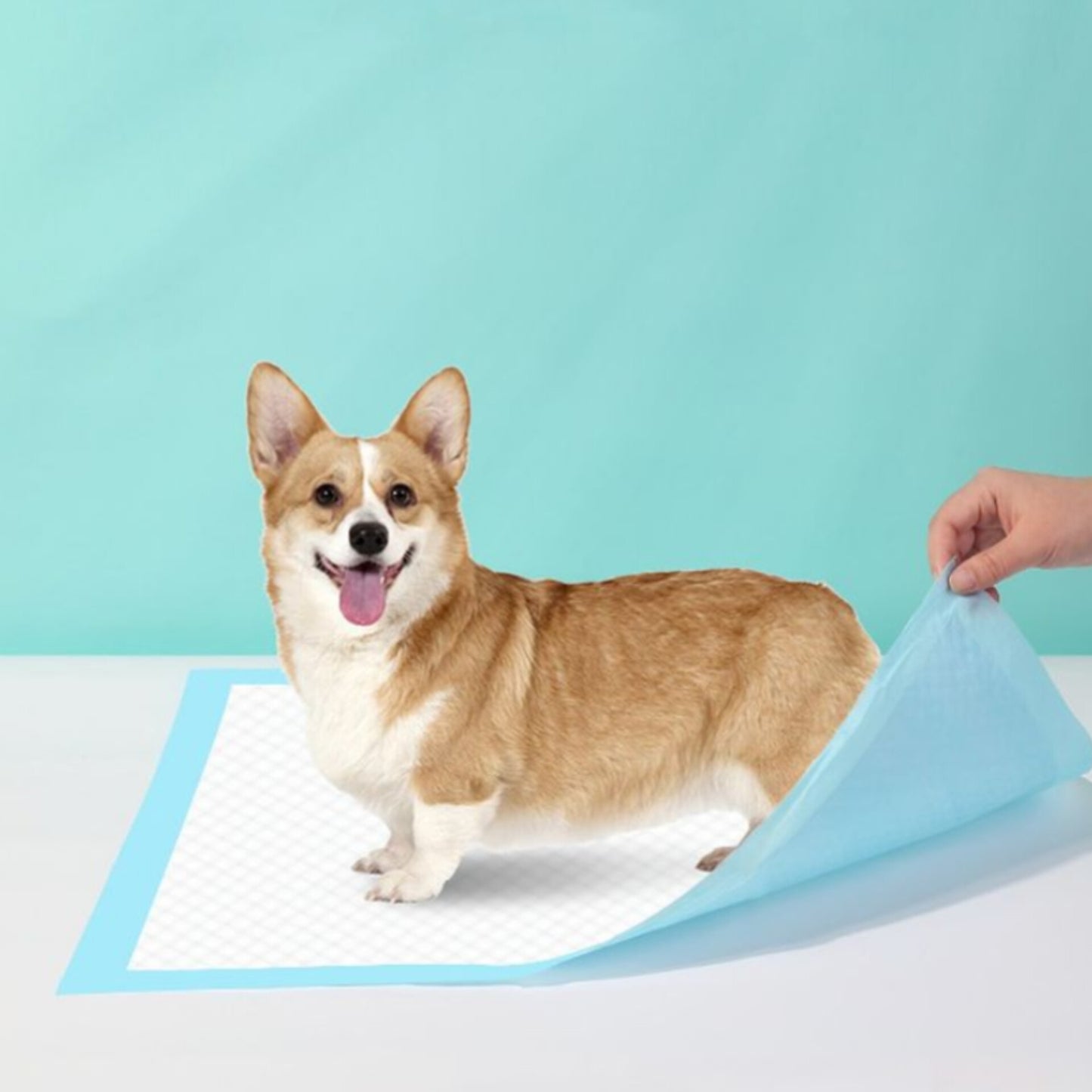 Absorbent Pet Training Pads 3Pcs