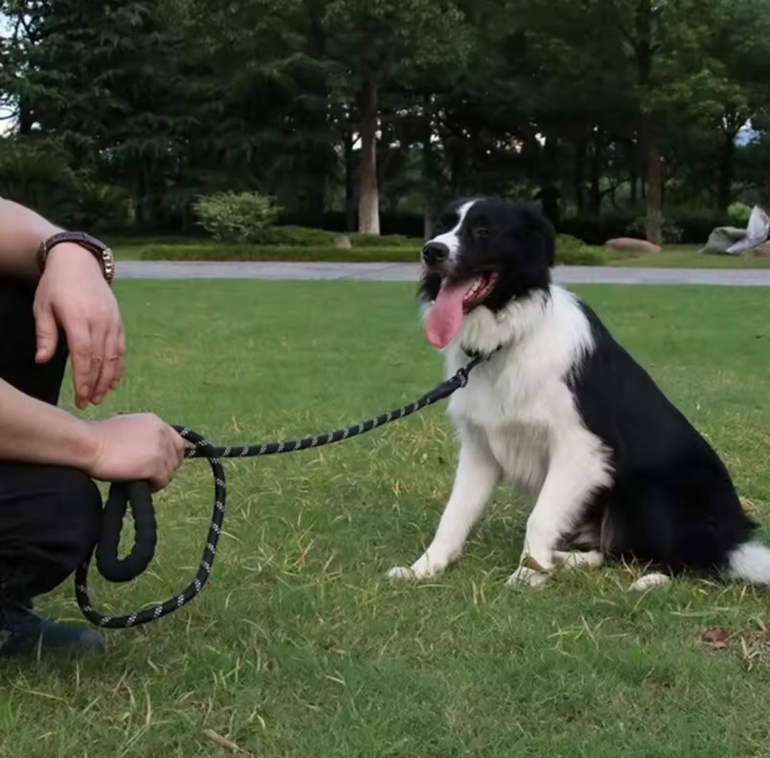 Reflective Dog Leash