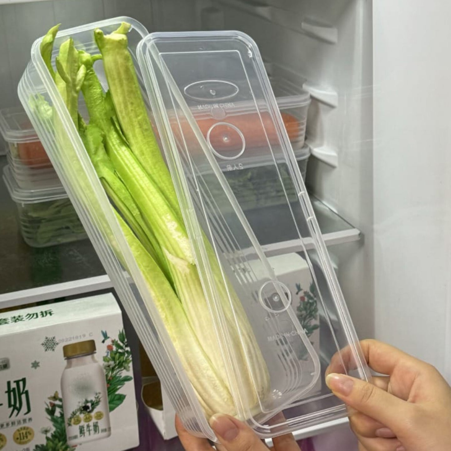 Refrigerator herb storage boxes