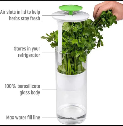 Refrigerator herb / vegetable saver