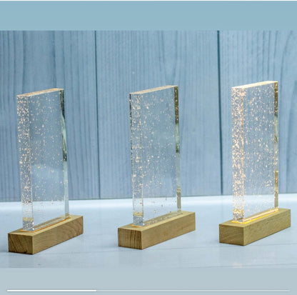 Illuminated LED Bubble Crystal Award on Wood Base
