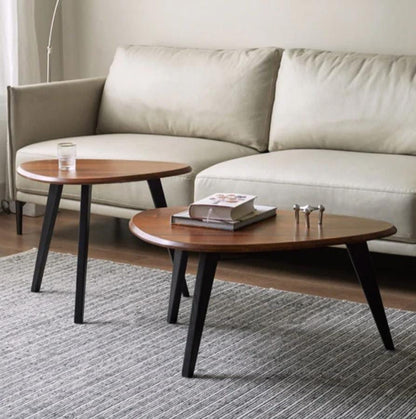 2 in 1 coffee table set
