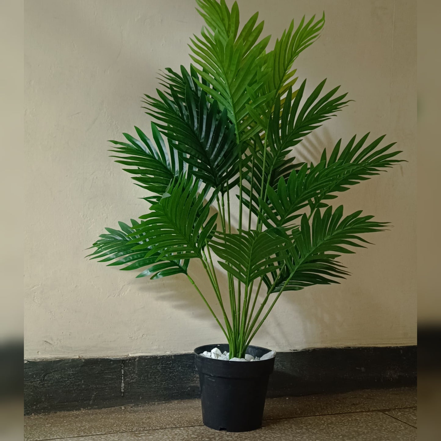 Potted palm tree