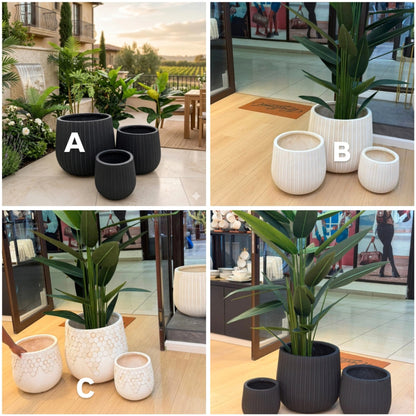Concrete Planter