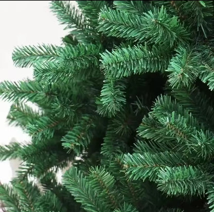 Green Full Christmas Tree