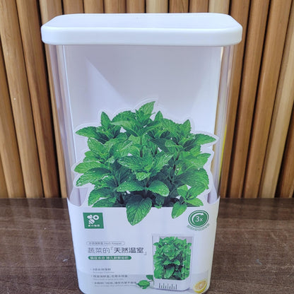 Airtight Herb Storage Box