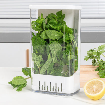 Airtight Herb Storage Box