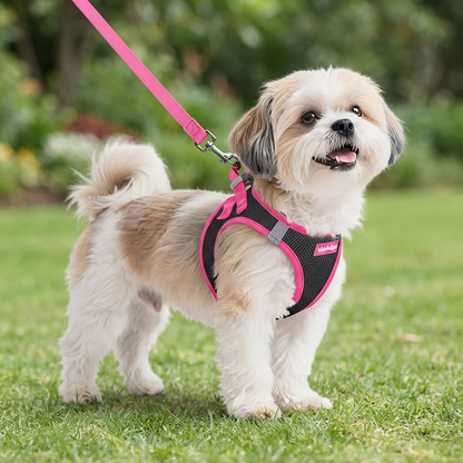 Dog Harness and Leash Set