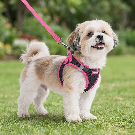 Dog Harness and Leash Set