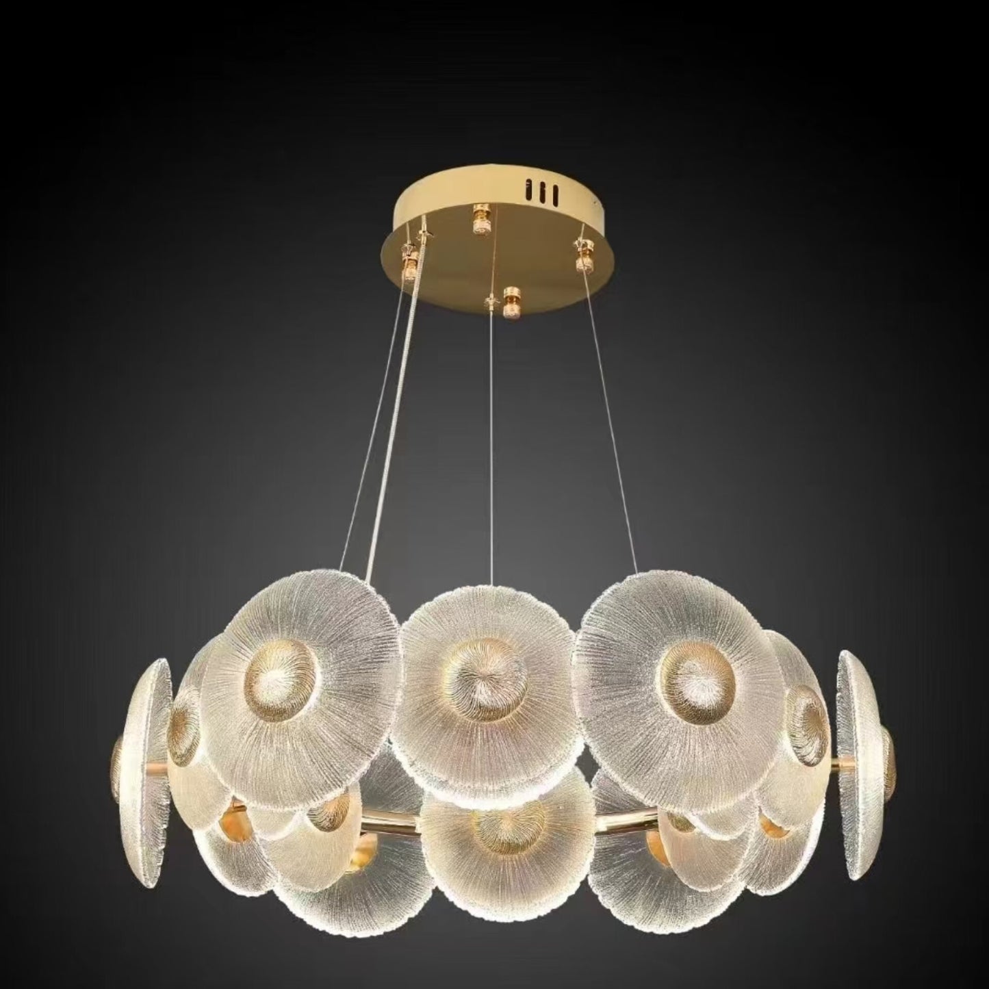 Circular Petal-Glass Chandelier Light