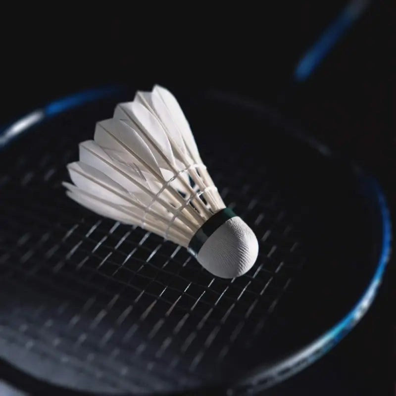 12 Piece Professional Badminton Shuttlecocks Set