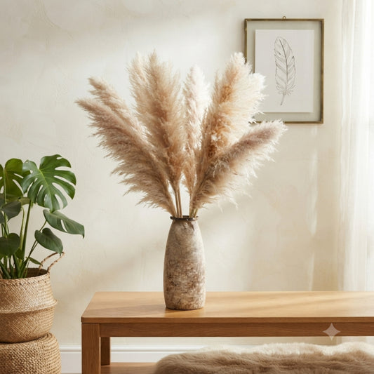 1.2M Big Pampas Grass 1pc