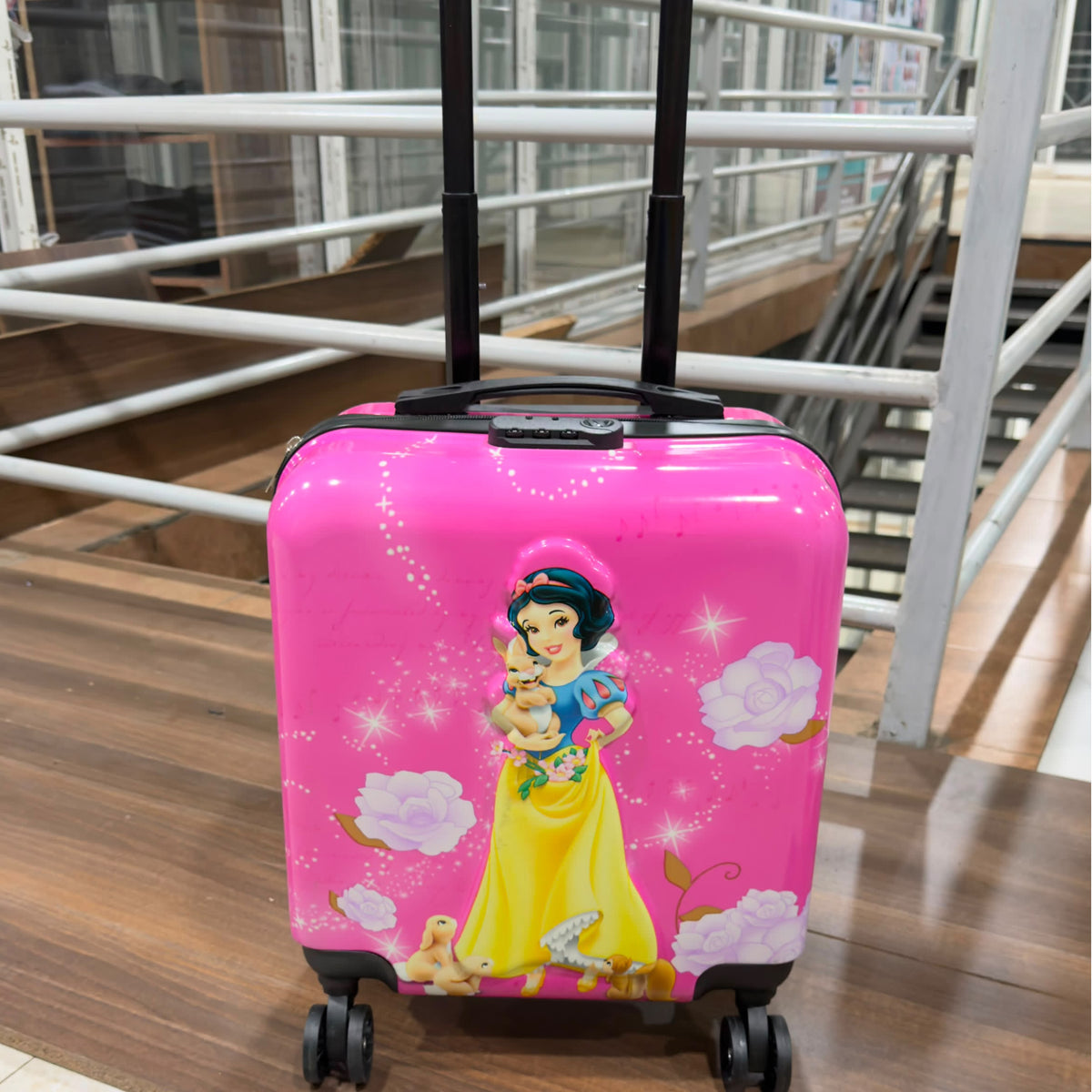 Kids Cartoon Themed Trolley Suitcase